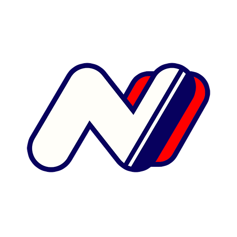 npe logo